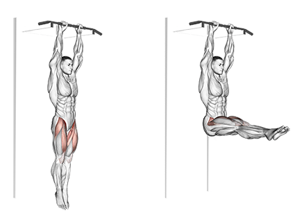 Hanging hip raises sale